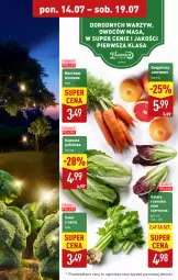 Gazetka promocyjna Aldi - Pełna oferta - Gazetka - ważna od 19.07 do 19.07.2025 - strona 5 - produkty: Grejpfrut