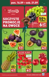 Gazetka promocyjna Aldi - Owoce i warzywa - Gazetka - ważna od 21.09 do 21.09.2024 - strona 3 - produkty: Gra, Granat, Ananas, Maliny, Winogrona, Winogrona bezpestkowe, Owoce, Wino