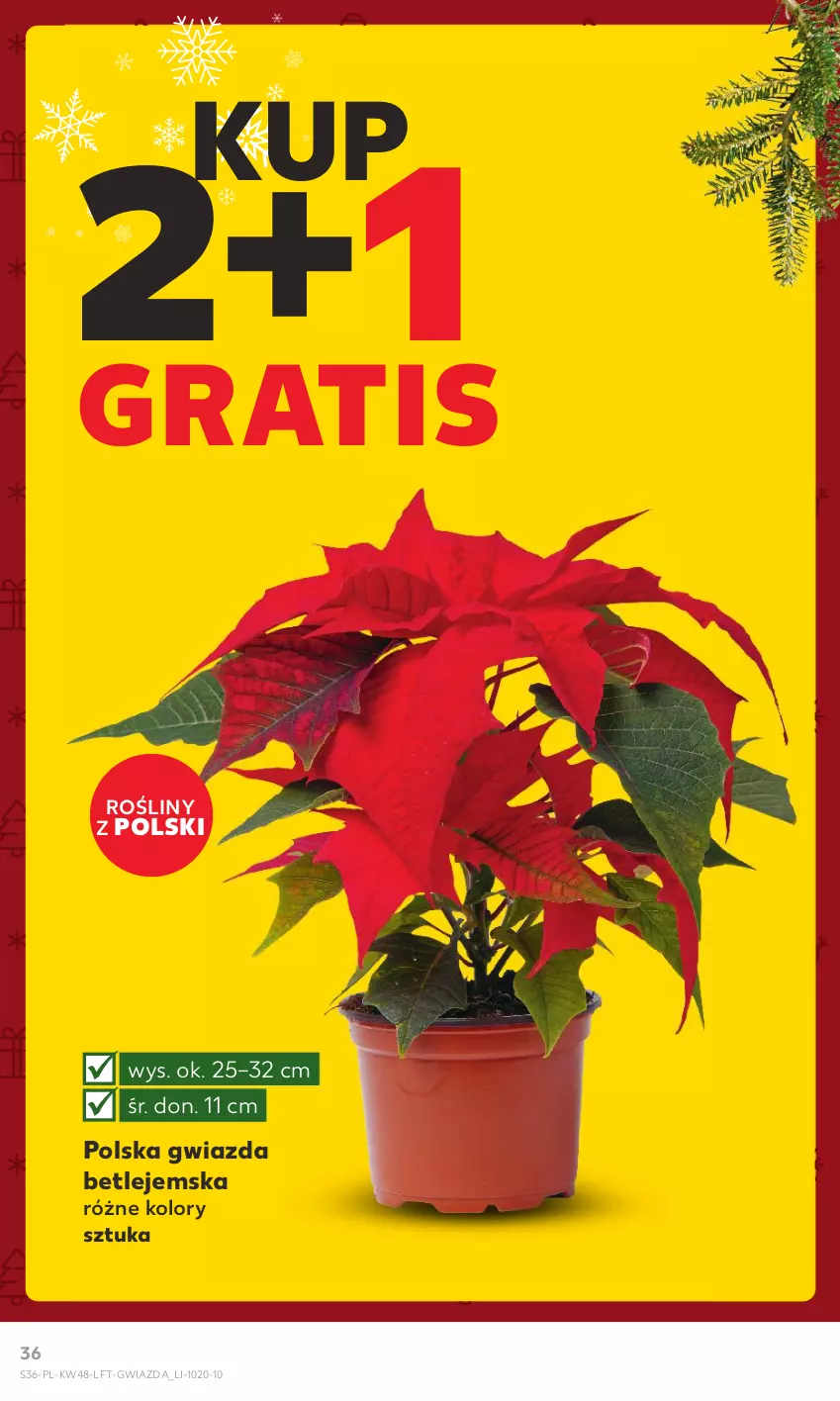 Gazetka promocyjna Kaufland - Gazetka tygodnia - ważna 30.11 do 06.12.2023 - strona 36 - produkty: Gra, Gwiazda