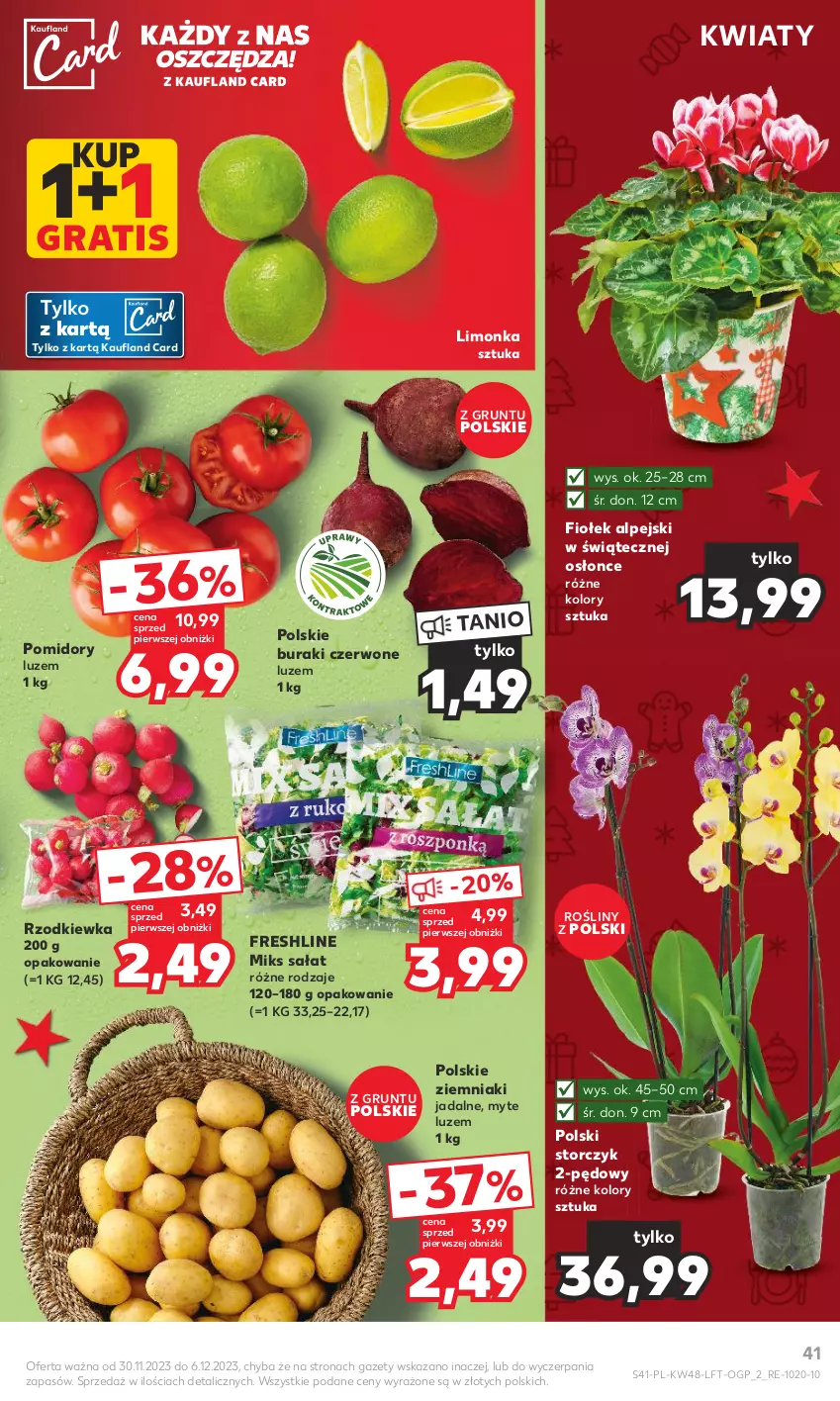 Gazetka promocyjna Kaufland - Gazetka tygodnia - ważna 30.11 do 06.12.2023 - strona 41 - produkty: Buraki, Gra, Grunt, Limonka, Pomidory, Rzodkiewka, Sałat, Storczyk, Ziemniaki