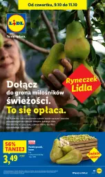 Gazetka promocyjna Lidl - GAZETKA - Gazetka - ważna od 11.10 do 11.10.2025 - strona 21 - produkty: Por, O nas, Gruszki, Dzieci