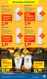 Gazetka promocyjna Lidl - GAZETKA - Gazetka - ważna od 11.10 do 11.10.2025 - strona 57 - produkty: Sok, Znicz