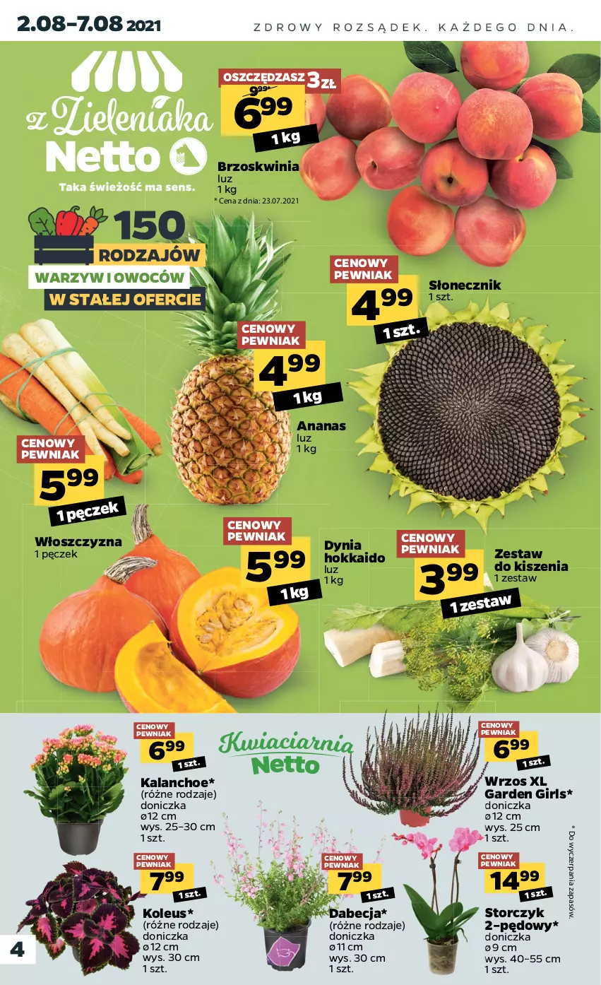 Gazetka promocyjna Netto - Gazetka spożywcza - ważna 02.08 do 07.08.2021 - strona 4 - produkty: Ananas, Kalanchoe, Storczyk