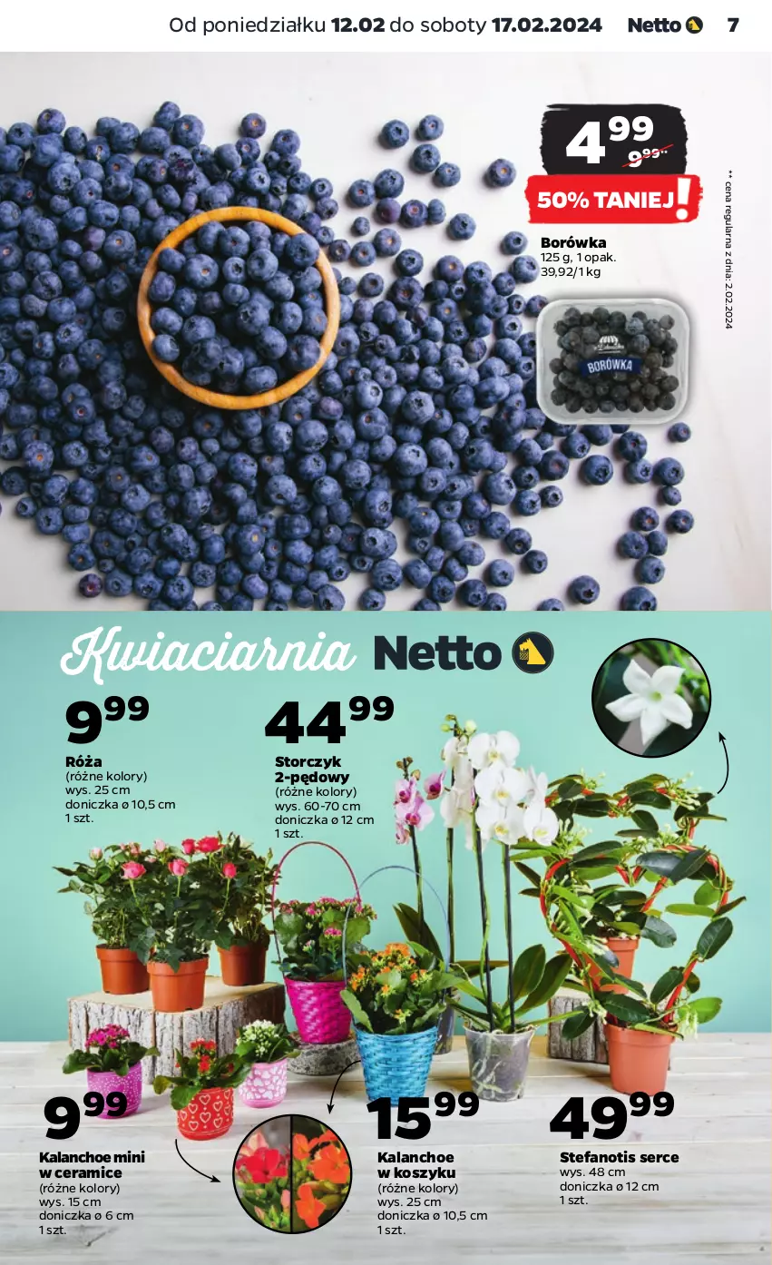 Gazetka promocyjna Netto - Artykuły spożywcze - ważna 12.02 do 17.02.2024 - strona 7 - produkty: Borówka, Fa, Kalanchoe, Kosz, Róża, Ser, Storczyk