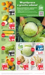 Gazetka promocyjna Kaufland - Gazetka tygodnia - Gazetka - ważna od 20.09 do 20.09.2023 - strona 9 - produkty: Piec, Mandarynki, Pietruszka, Seler korzeń, Sałata lodowa, Sałat, Gruszki, Grunt, Kukurydza