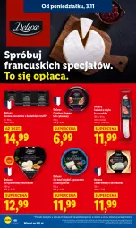 Gazetka promocyjna Lidl - GAZETKA - Gazetka - ważna od 05.11 do 05.11.2025 - strona 42 - produkty: Ser, Por, Salami, Pasztet, Ser kozi, Ser pleśniowy