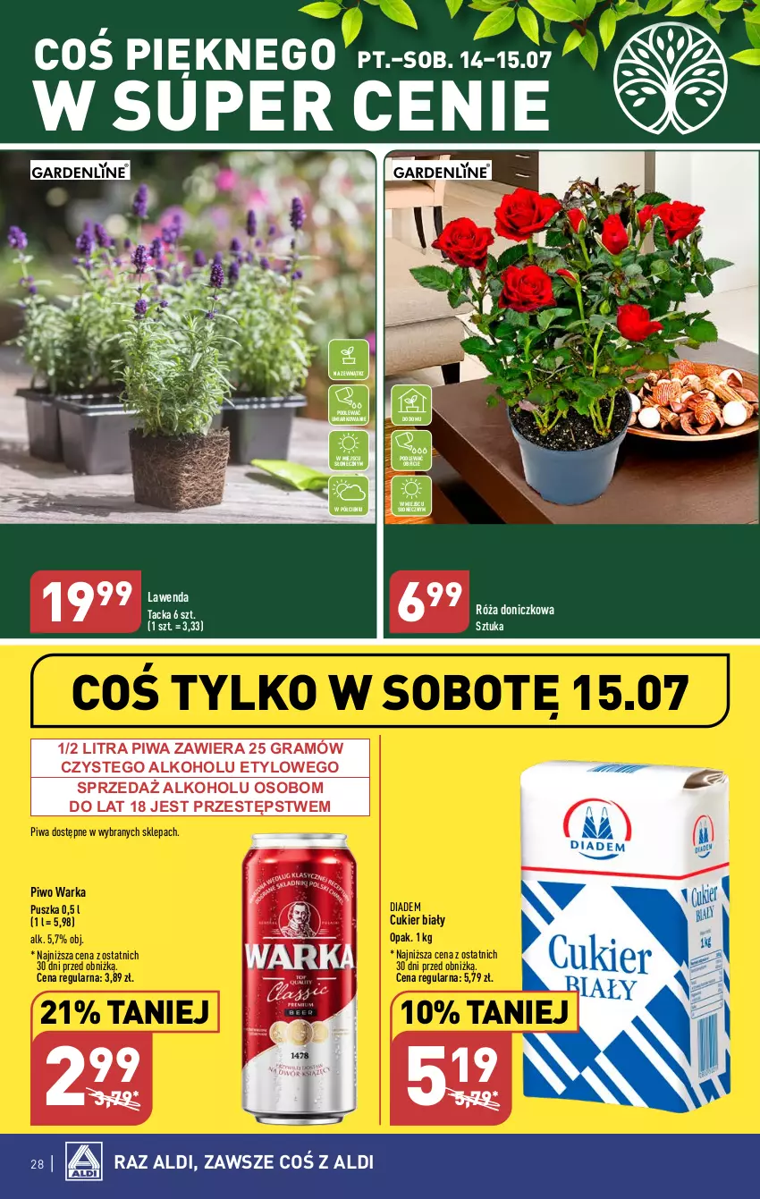 Gazetka promocyjna Aldi - Pełen katalog od 10.07 - ważna 10.07 do 15.07.2023 - strona 28 - produkty: Cukier, Gra, Piwa, Piwo, Róża, Warka