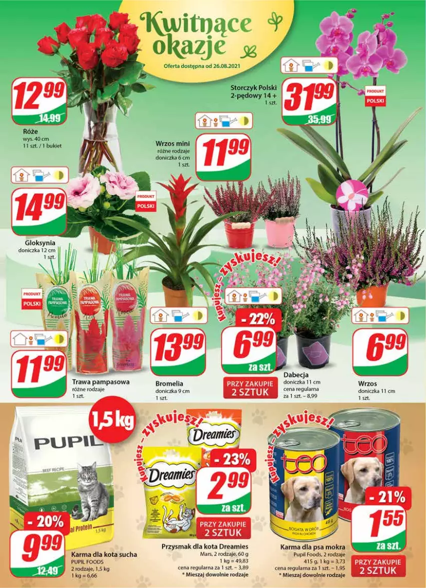 Gazetka promocyjna Dino - Gazetka - ważna 25.08 do 31.08.2021 - strona 18 - produkty: Bromelia, Bukiet, Mars, Przysmak dla kota, Storczyk