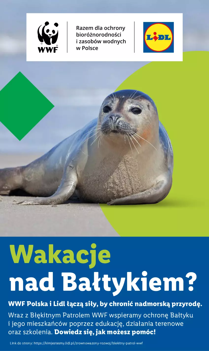 Gazetka promocyjna Lidl - GAZETKA - ważna 10.07 do 12.07.2025 - strona 63 - produkty: Wazon