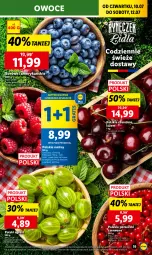 Gazetka promocyjna Lidl - GAZETKA - Gazetka - ważna od 12.07 do 12.07.2025 - strona 23 - produkty: Por, Gra, Porzeczki czerwone, Maliny, Owoce, Gres