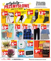 Gazetka promocyjna Topaz - Gazetka - Gazetka - ważna od 16.09 do 16.09.2026 - strona 46 - produkty: Top, Ser, Karp, Kosz, Rajstopy, Skarpetki, Koszula, Spodnie, Bokserki, LG