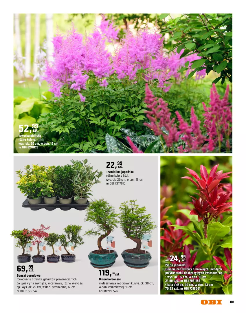 Gazetka promocyjna Obi - Gazetka OBI - ważna 16.03 do 31.08.2026 - strona 101 - produkty: Mus, Por, Róża
