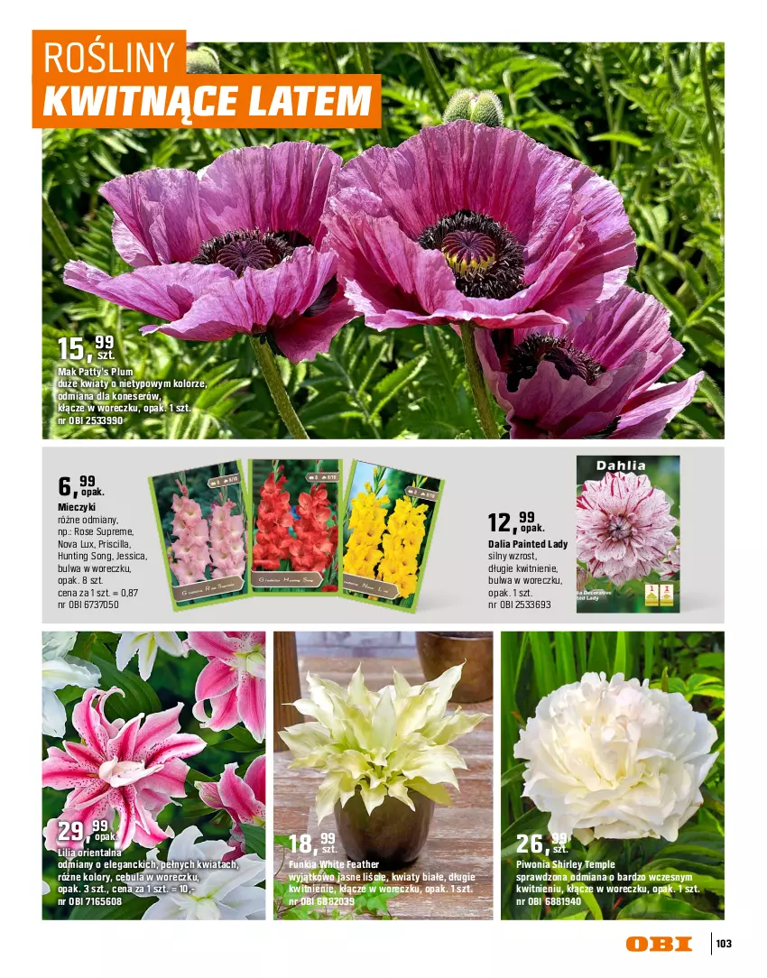 Gazetka promocyjna Obi - Gazetka OBI - ważna 16.03 do 31.08.2026 - strona 103 - produkty: Cebula, Lack, Miecz, Piwo, Ser, Sok