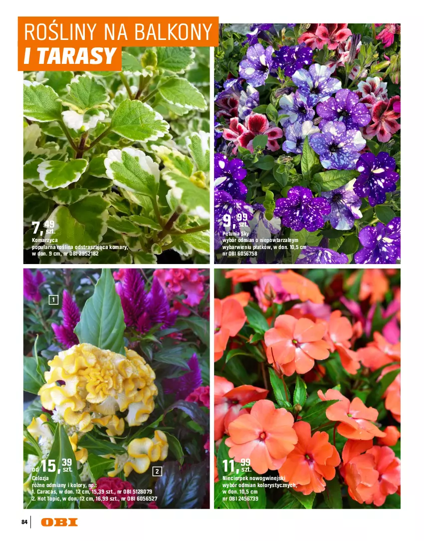 Gazetka promocyjna Obi - Gazetka OBI - ważna 16.03 do 31.08.2026 - strona 84 - produkty: Dzwonek, Inka, Por, Top