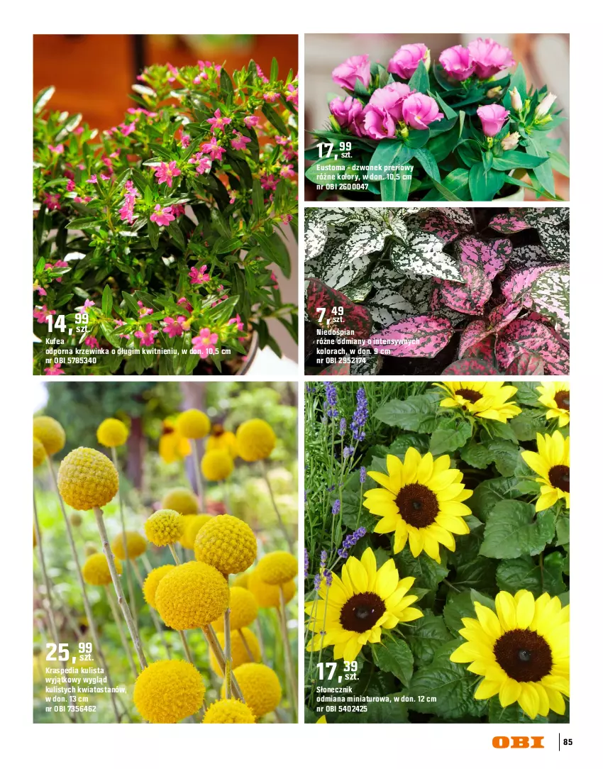 Gazetka promocyjna Obi - Gazetka OBI - ważna 16.03 do 31.08.2026 - strona 85 - produkty: Dzwonek, Inka, Por, Top