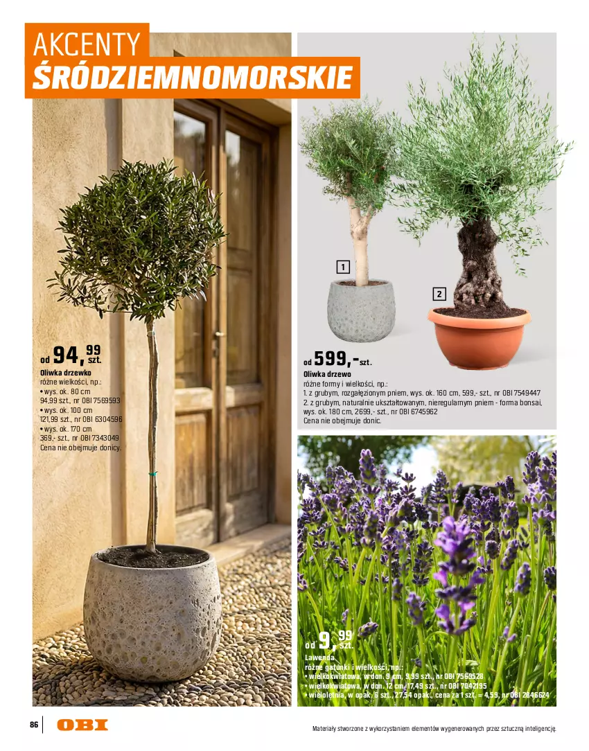 Gazetka promocyjna Obi - Gazetka OBI - ważna 16.03 do 31.08.2026 - strona 86 - produkty: Intel, Palma, Por