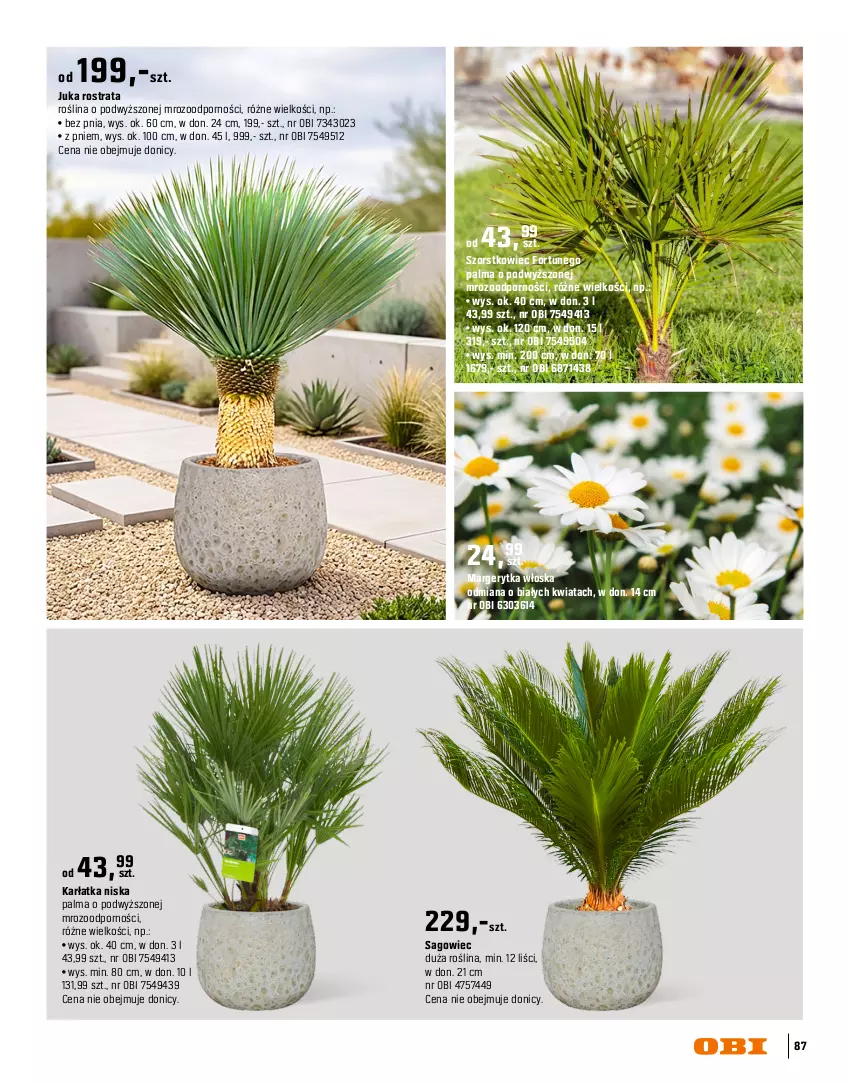 Gazetka promocyjna Obi - Gazetka OBI - ważna 16.03 do 31.08.2026 - strona 87 - produkty: Intel, Palma, Por