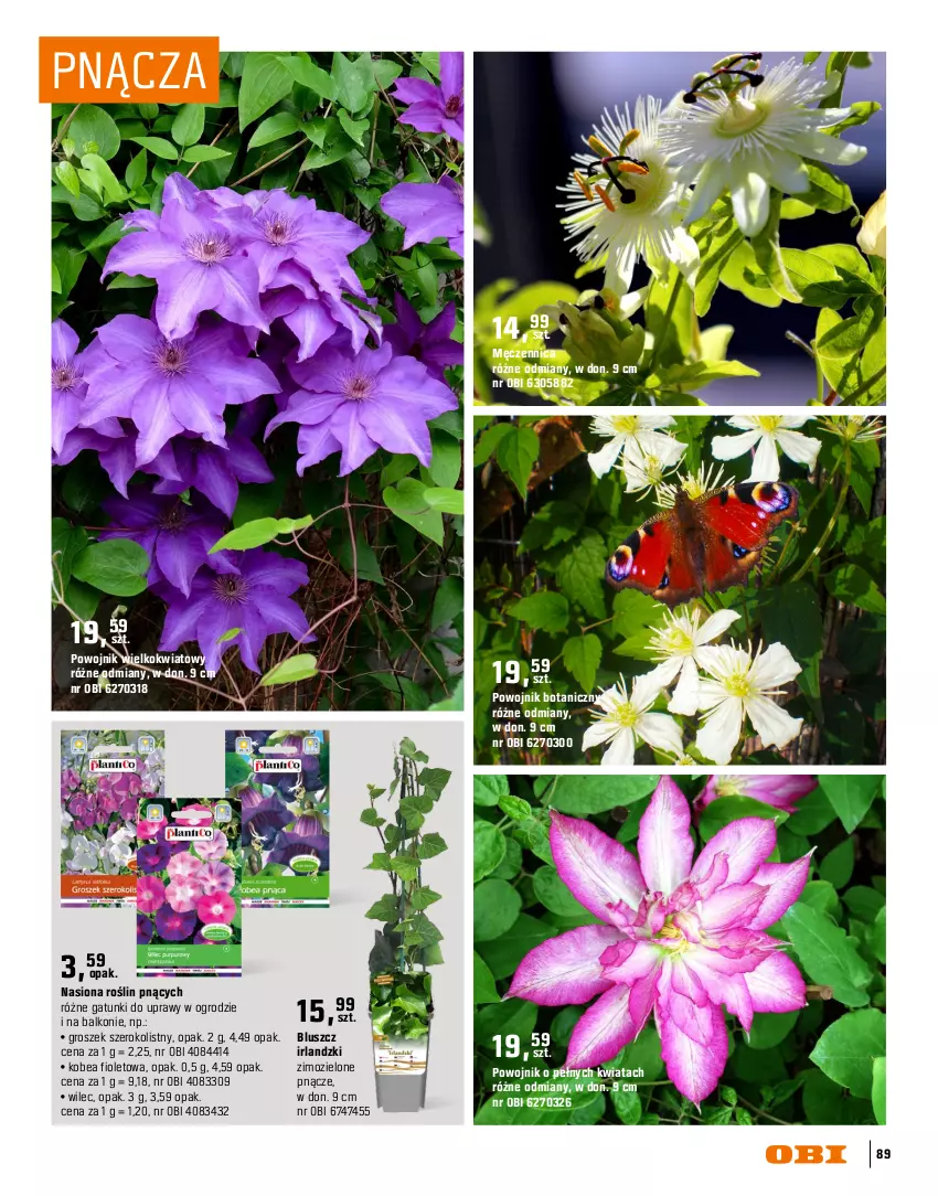 Gazetka promocyjna Obi - Gazetka OBI - ważna 16.03 do 31.08.2026 - strona 89 - produkty: Groszek, Inka, Róża