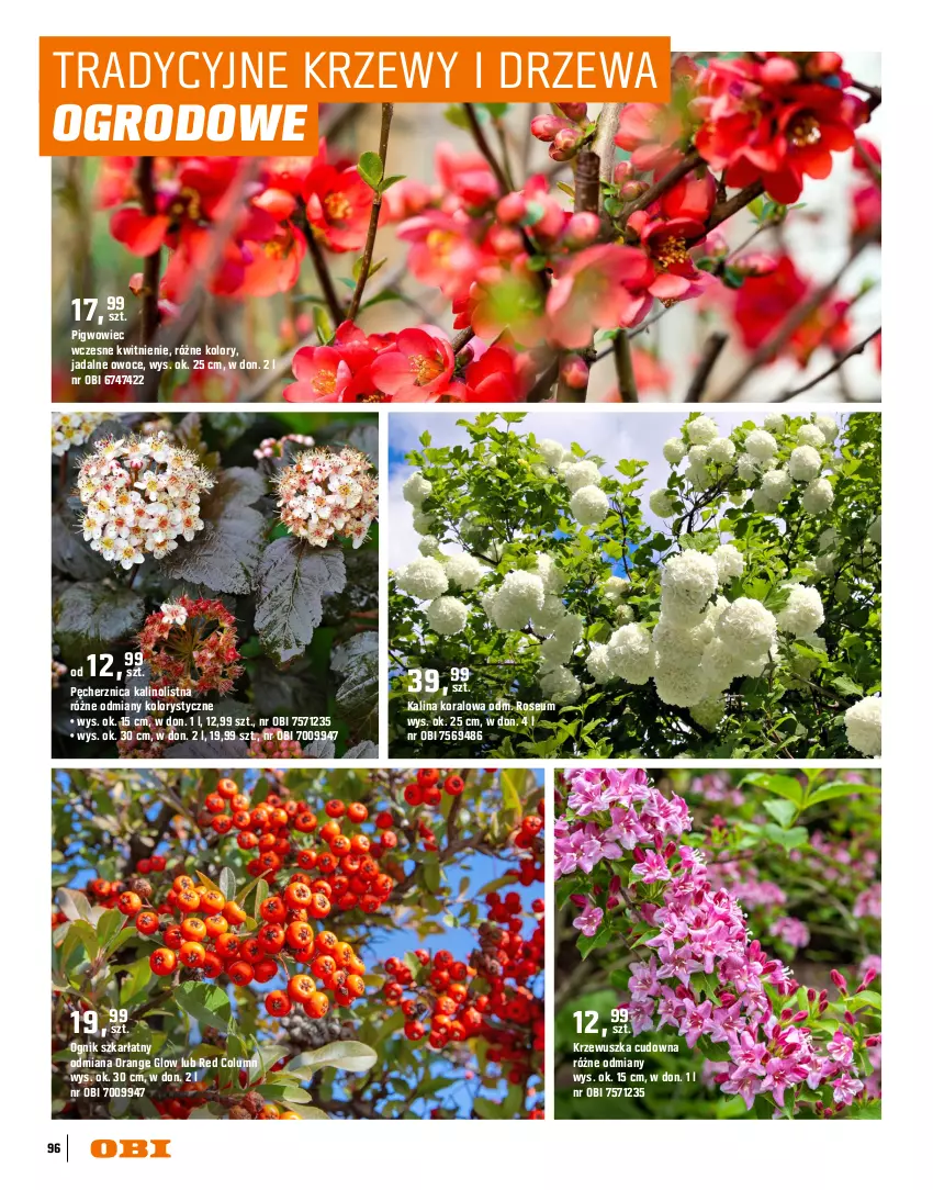 Gazetka promocyjna Obi - Gazetka OBI - ważna 16.03 do 31.08.2026 - strona 96 - produkty: Dereń, Oral B, Owoce, Pigwowiec