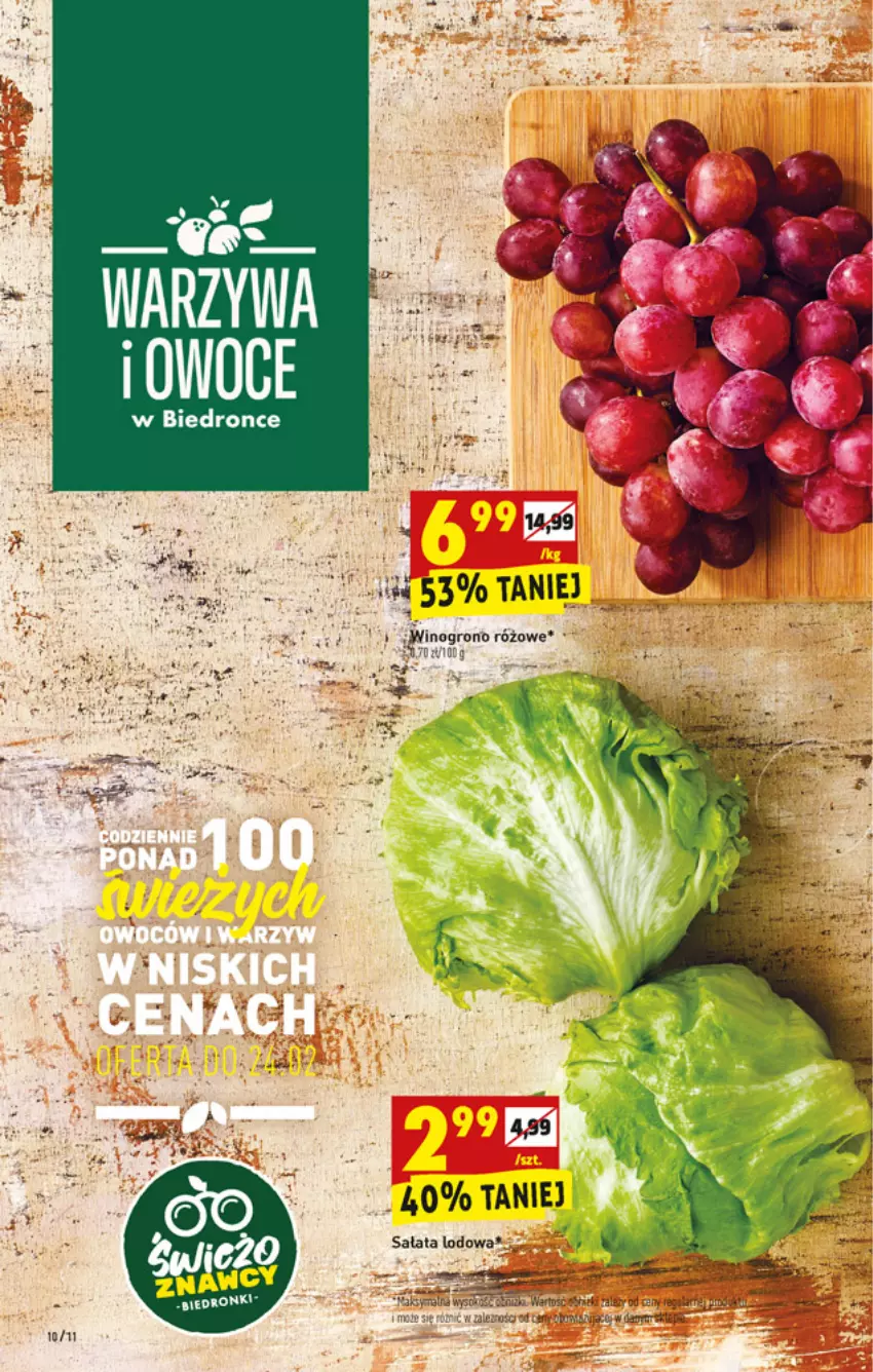 Gazetka promocyjna Biedronka - W tym tygodniu PN - ważna 22.02 do 27.02.2021 - strona 10 - produkty: Dron, Owoce, Sałat, Sałata lodowa