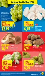 Gazetka promocyjna Lidl - GAZETKA - Gazetka - ważna od 07.02 do 07.02.2026 - strona 19 - produkty: Piec, Kalafior, Ziemniaki, Gruszki, Winogrona, Wino, Boczniak
