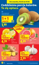 Gazetka promocyjna Lidl - GAZETKA - Gazetka - ważna od 07.02 do 07.02.2026 - strona 20 - produkty: Por, Gra, Czosnek, Cytryny, Kiwi, Grejpfrut, Imbir