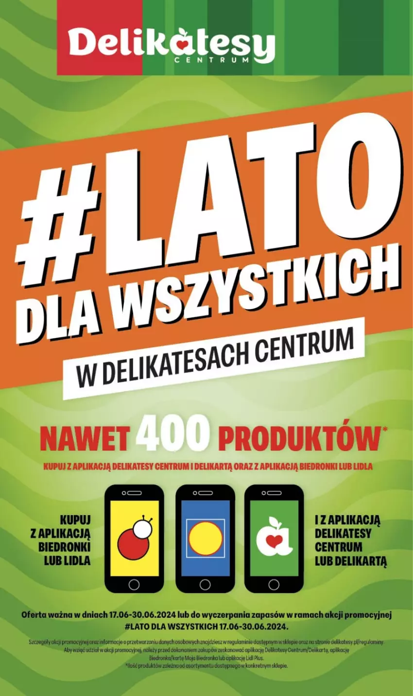 Gazetka promocyjna Delikatesy Centrum - #LATO DLA WSZYSTKICH w Delikatesach Centrum od 17 czerwca! 17-30.06.2024 - ważna 17.06 do 30.06.2024 - strona 1