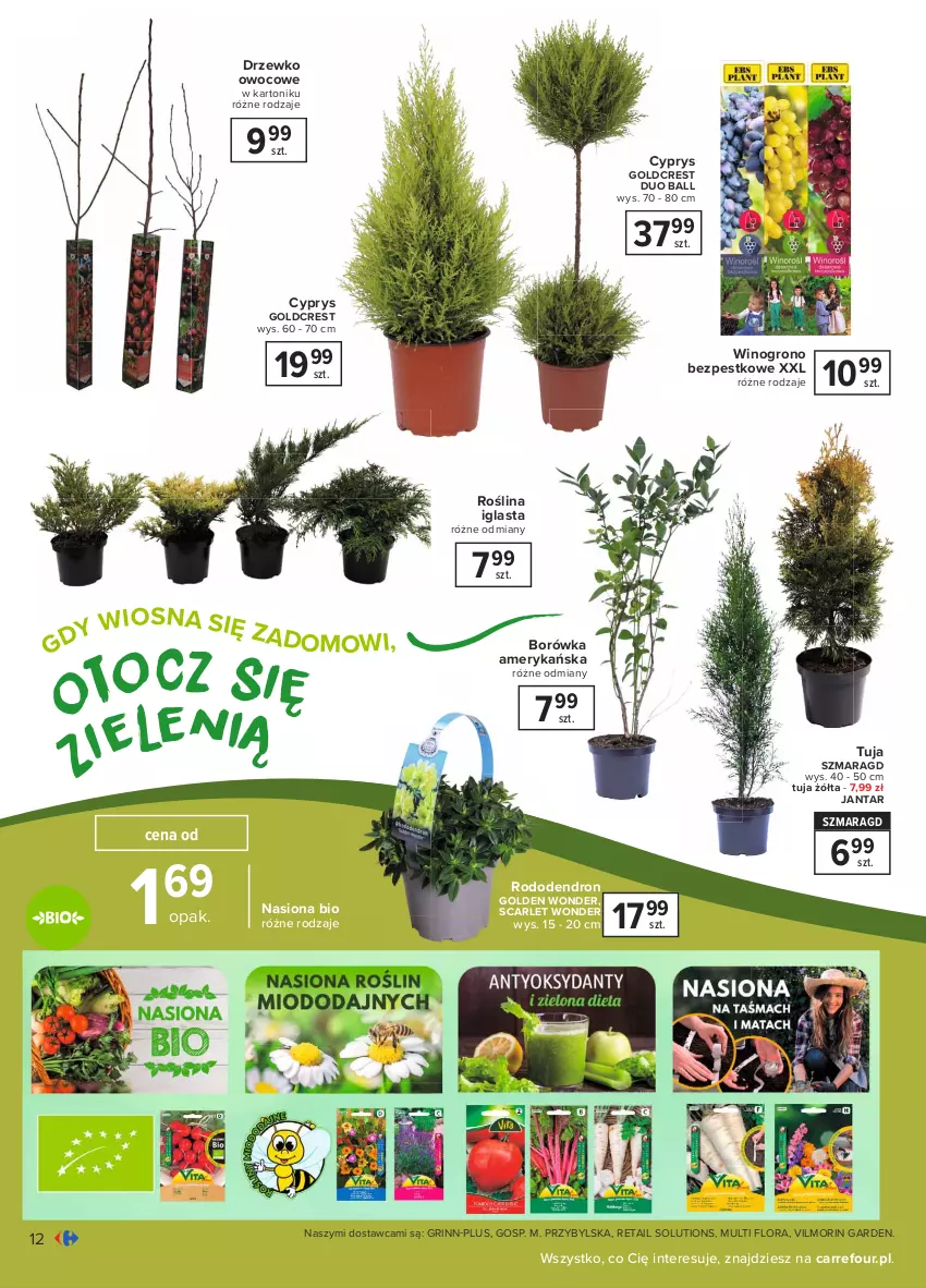 Gazetka promocyjna Carrefour - Gazetka Ogród - ważna 15.03 do 03.04.2021 - strona 12 - produkty: Borówka, Borówka amerykańska, Dron, Flora, Tonik, Wino