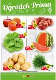 Gazetka promocyjna Prim Market - Gazetka - Gazetka - ważna od 07.07 do 07.07.2021 - strona 3 - produkty: Ziemniaki, Sałat, Koperek pęczek, Arbuz, Jabłka