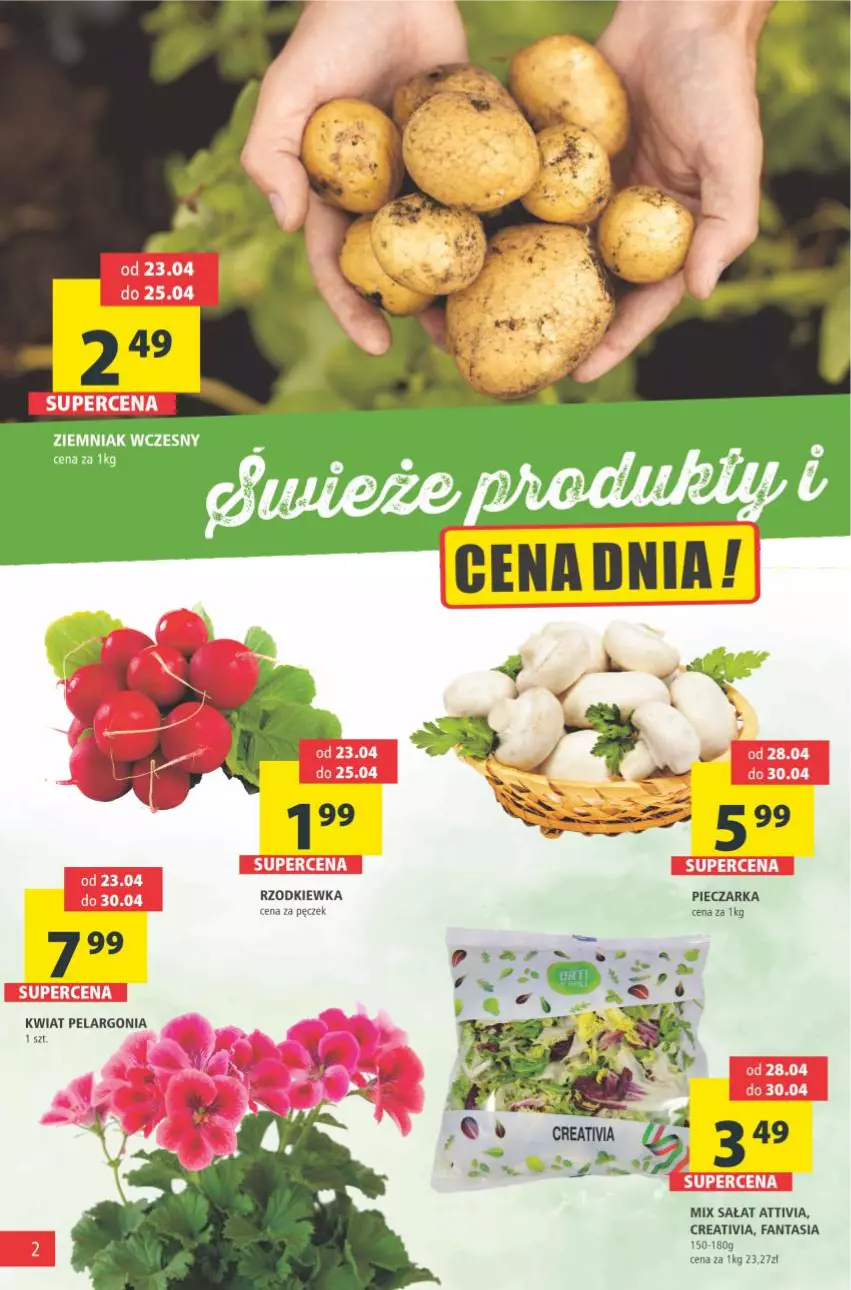 Gazetka promocyjna Arhelan - Gazetka - ważna 23.04 do 02.05.2021 - strona 2 - produkty: Fa, Fanta, Piec, Pieczarka, Rzodkiewka, Sałat