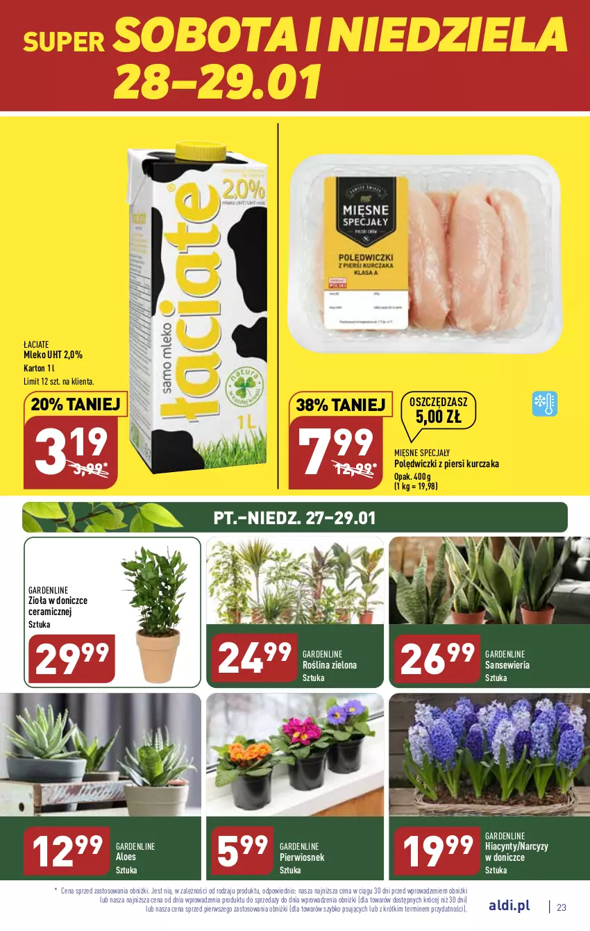 Gazetka promocyjna Aldi - Pełny katalog - ważna 23.01 do 29.01.2023 - strona 23 - produkty: Hiacynt, Kurczak, Mięsne specjały, Mleko, Narcyz, Zioła w doniczce