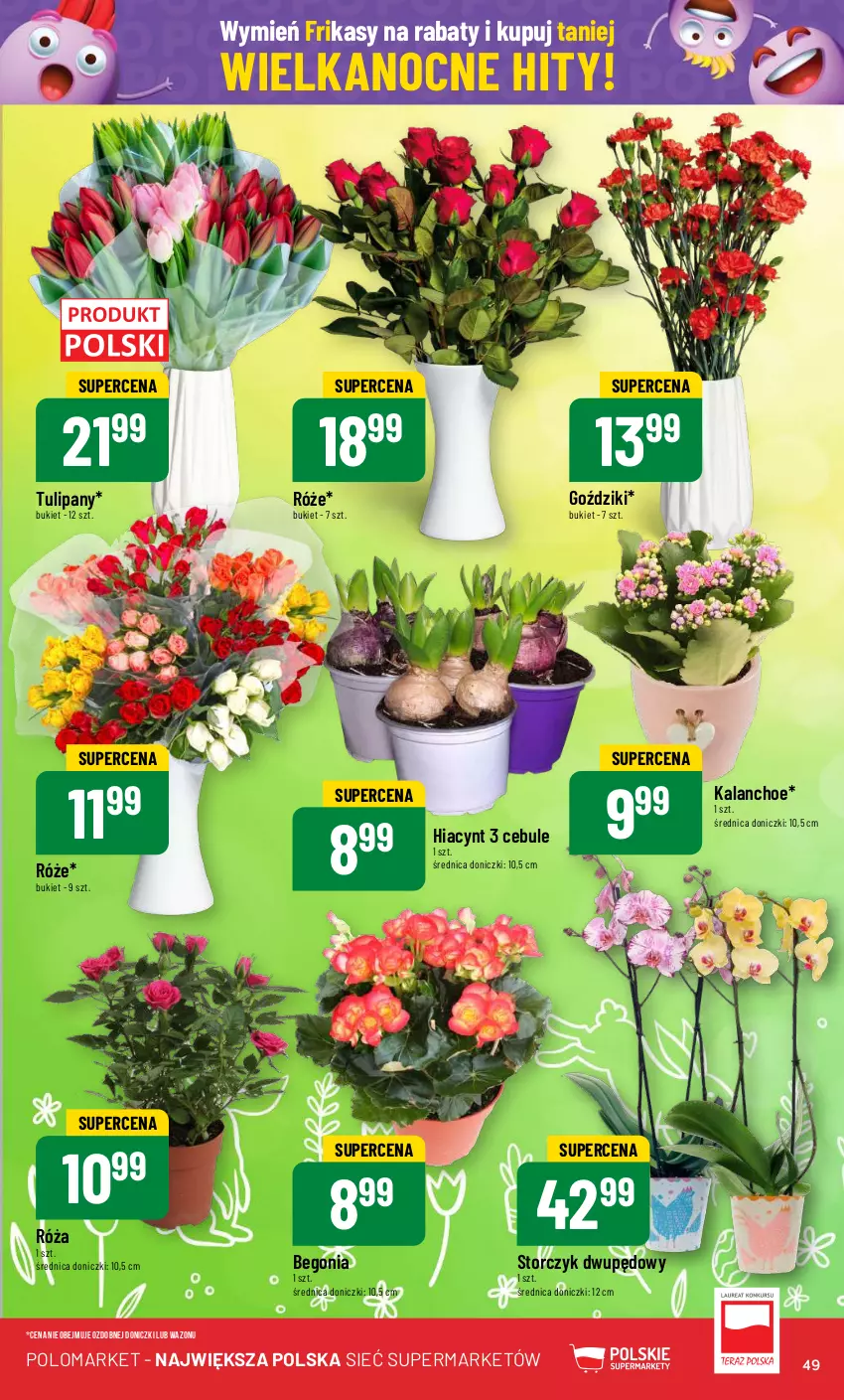 Gazetka promocyjna PoloMarket - Gazetka pomocyjna - ważna 27.03 do 02.04.2024 - strona 49 - produkty: Bukiet, Hiacynt, Kalanchoe, Róża, Storczyk, Tulipan, Wazon