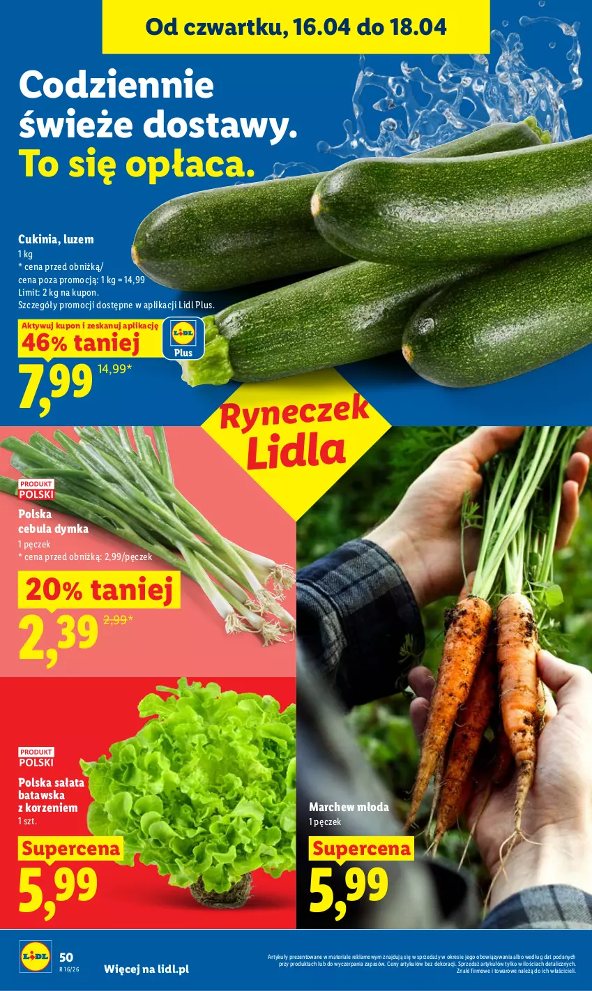 Gazetka promocyjna Lidl - Gazetka ważna od 16.04 do 18.04 - ważna 16.04 do 18.04.2026 - strona 50 - produkty: Cebula, Sałat