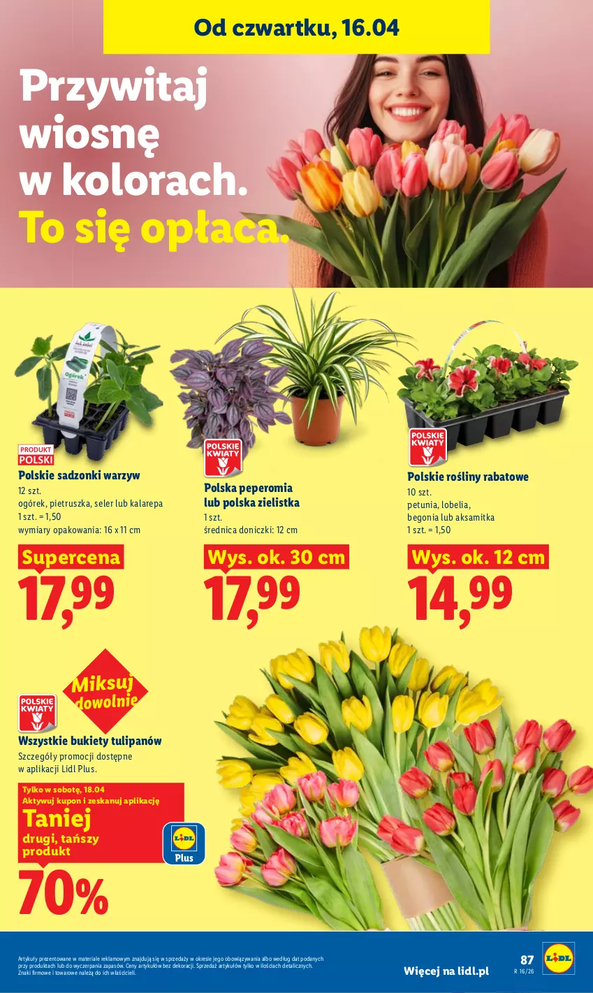 Gazetka promocyjna Lidl - Gazetka ważna od 16.04 do 18.04 - ważna 16.04 do 18.04.2026 - strona 87 - produkty: Aksam, Bukiet, Ogórek, Pietruszka, Tulipan