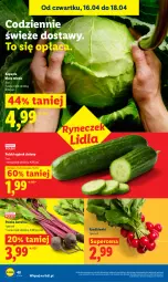 Gazetka promocyjna Lidl - Gazetka ważna od 16.04 do 18.04 - Gazetka - ważna od 18.04 do 18.04.2026 - strona 48 - produkty: Ogórek