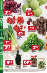 Gazetka promocyjna Stokrotka - Supermarket - Gazetka - ważna od 03.12 do 03.12.2025 - strona 12 - produkty: Cebula czerwona, Cebula, Warzywa, Por, Sałata masłowa, Sałat, Buraki, Owoce, Masło, Pomidory, Mięso