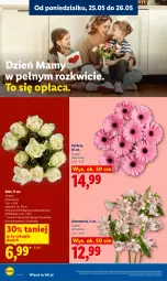 Gazetka promocyjna Lidl - Gazetka ważna od 25.05 do 27.05 - Gazetka - ważna od 27.05 do 27.05.2026 - strona 4 - produkty: Sok, Gerber, Bukiet