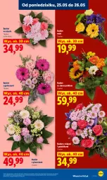 Gazetka promocyjna Lidl - Gazetka ważna od 25.05 do 27.05 - Gazetka - ważna od 27.05 do 27.05.2026 - strona 7 - produkty: Piwo, Gerber, Róża, Bukiet