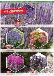 Gazetka promocyjna Merkury Market - Gazetka - ważna od 30.06 do 30.06.2025 - strona 60 - produkty: Chrzan, Sok, Ogród