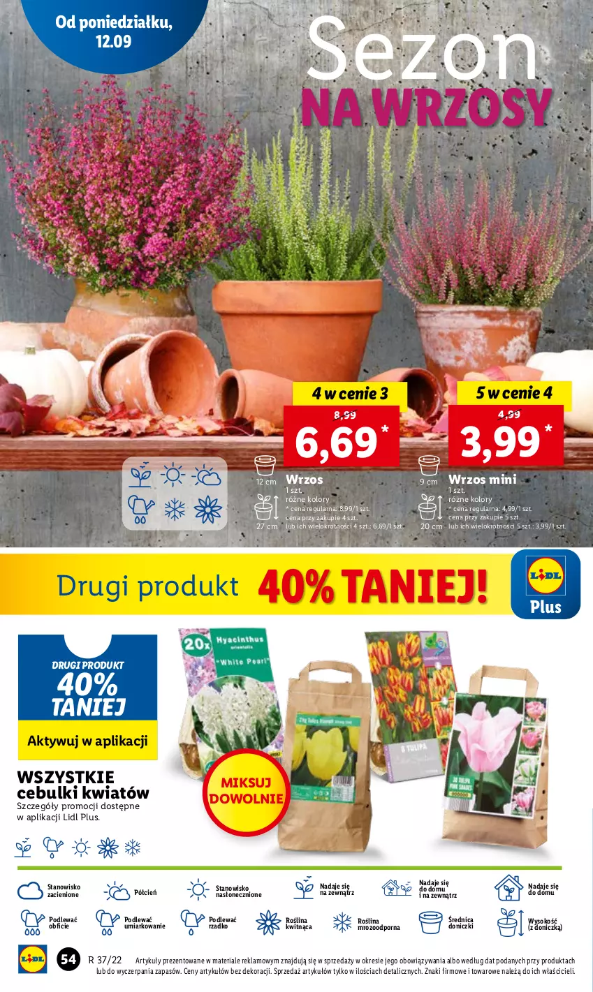 Gazetka promocyjna Lidl - GAZETKA - ważna 12.09 do 14.09.2022 - strona 56 - produkty: Cień, O nas, Por, Sok