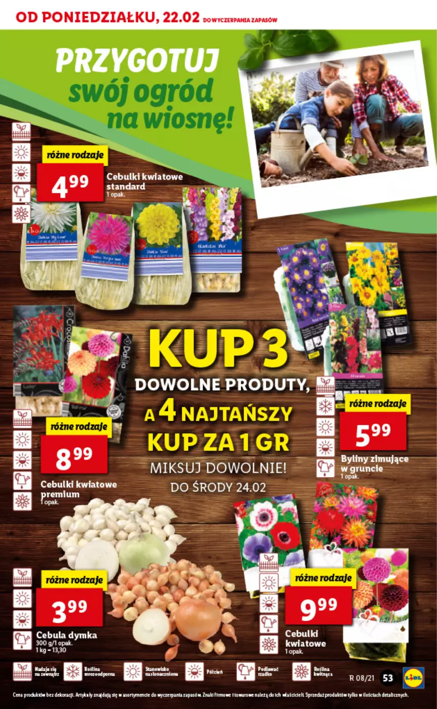 Gazetka promocyjna Lidl - GAZETKA - ważna 22.02 do 24.02.2021 - strona 53 - produkty: Cebula