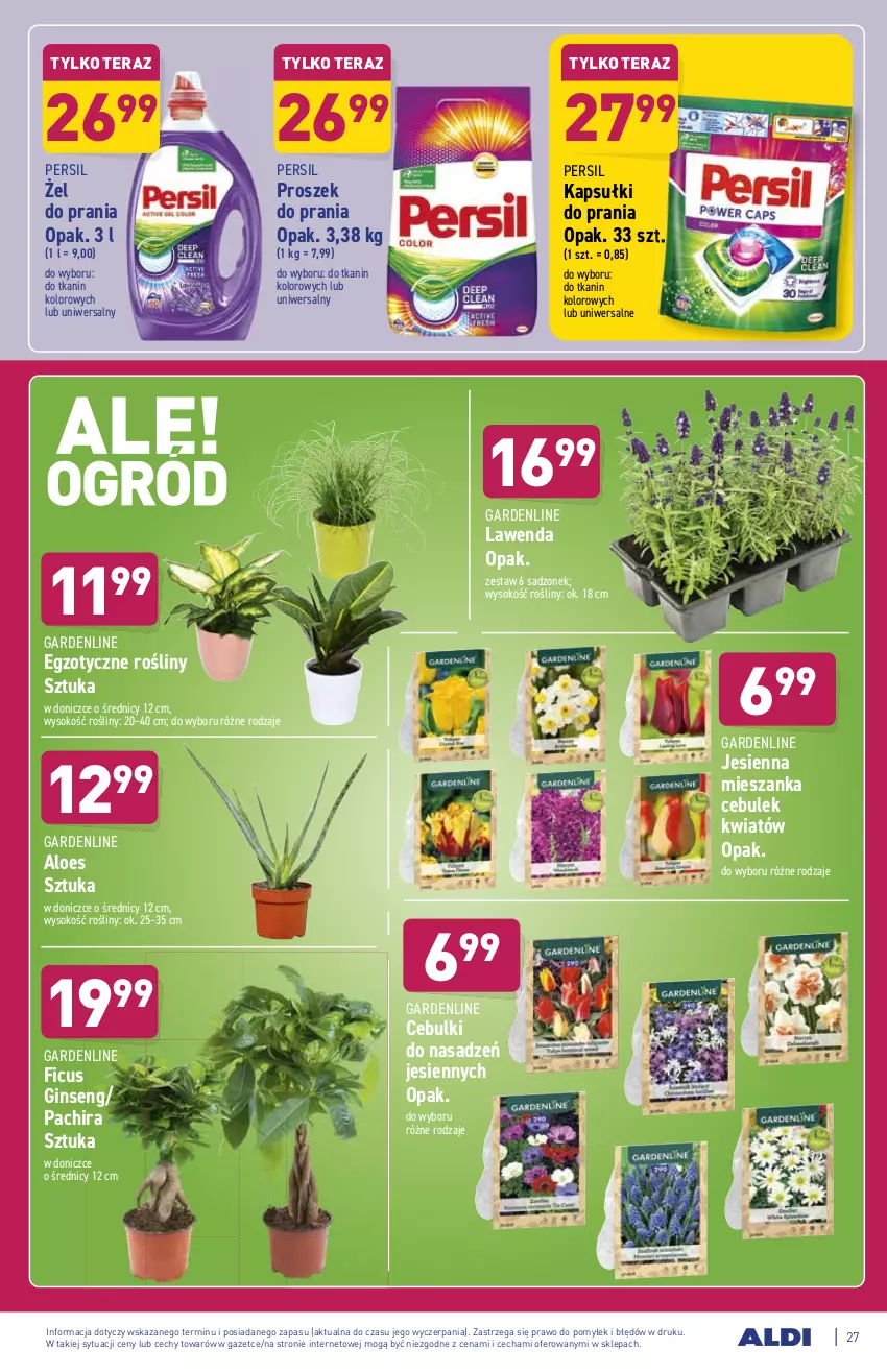 Gazetka promocyjna Aldi - ważna 06.09 do 11.09.2021 - strona 27 - produkty: Gin, Kapsułki do prania, O nas, Persil, Proszek do prania, Sok, Tera