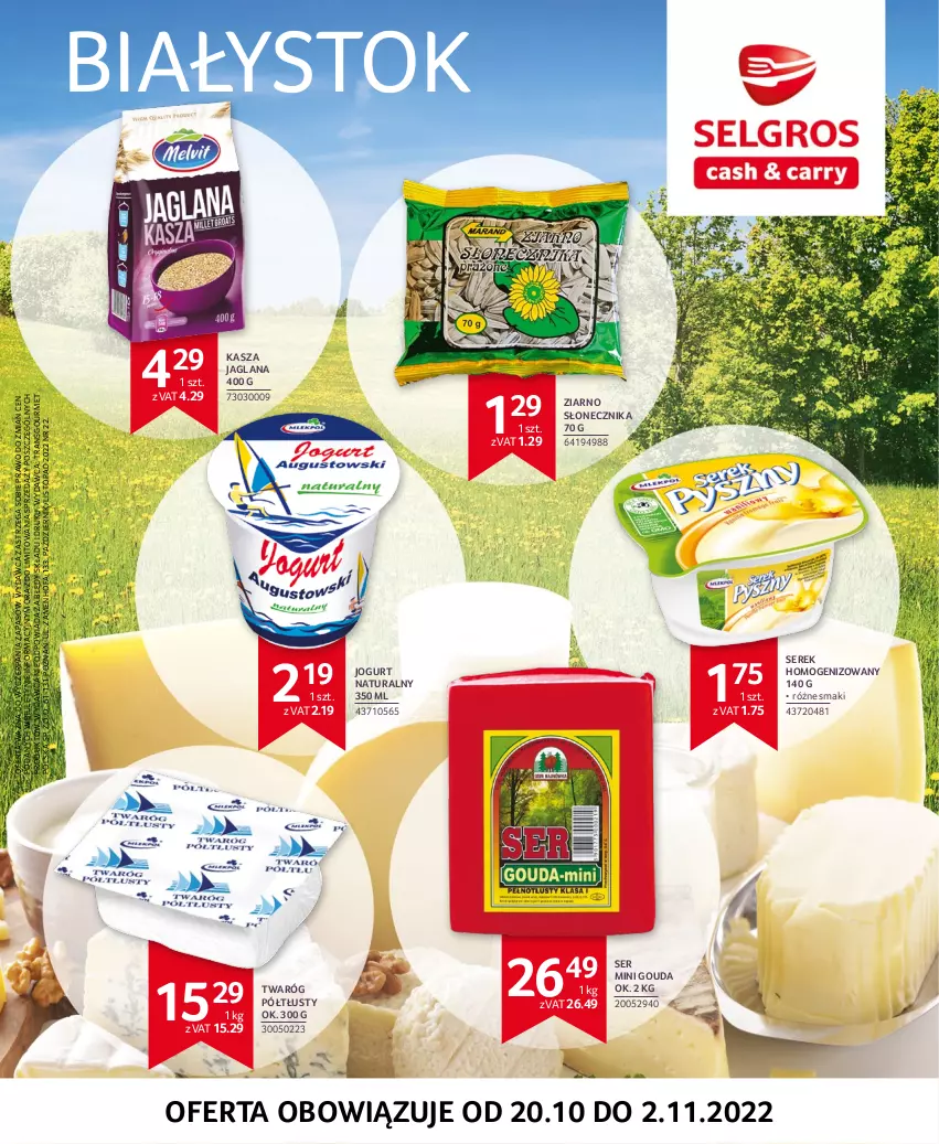 Gazetka promocyjna Selgros - Oferta regionalna - ważna 22.04 do 31.12.2022 - strona 1 - produkty: Fa, Gouda, Jogurt, Jogurt naturalny, Kasza, Kasza jaglana, LANA, Ser, Serek, Serek homogenizowany, Top, Tran, Twaróg, Twaróg półtłusty