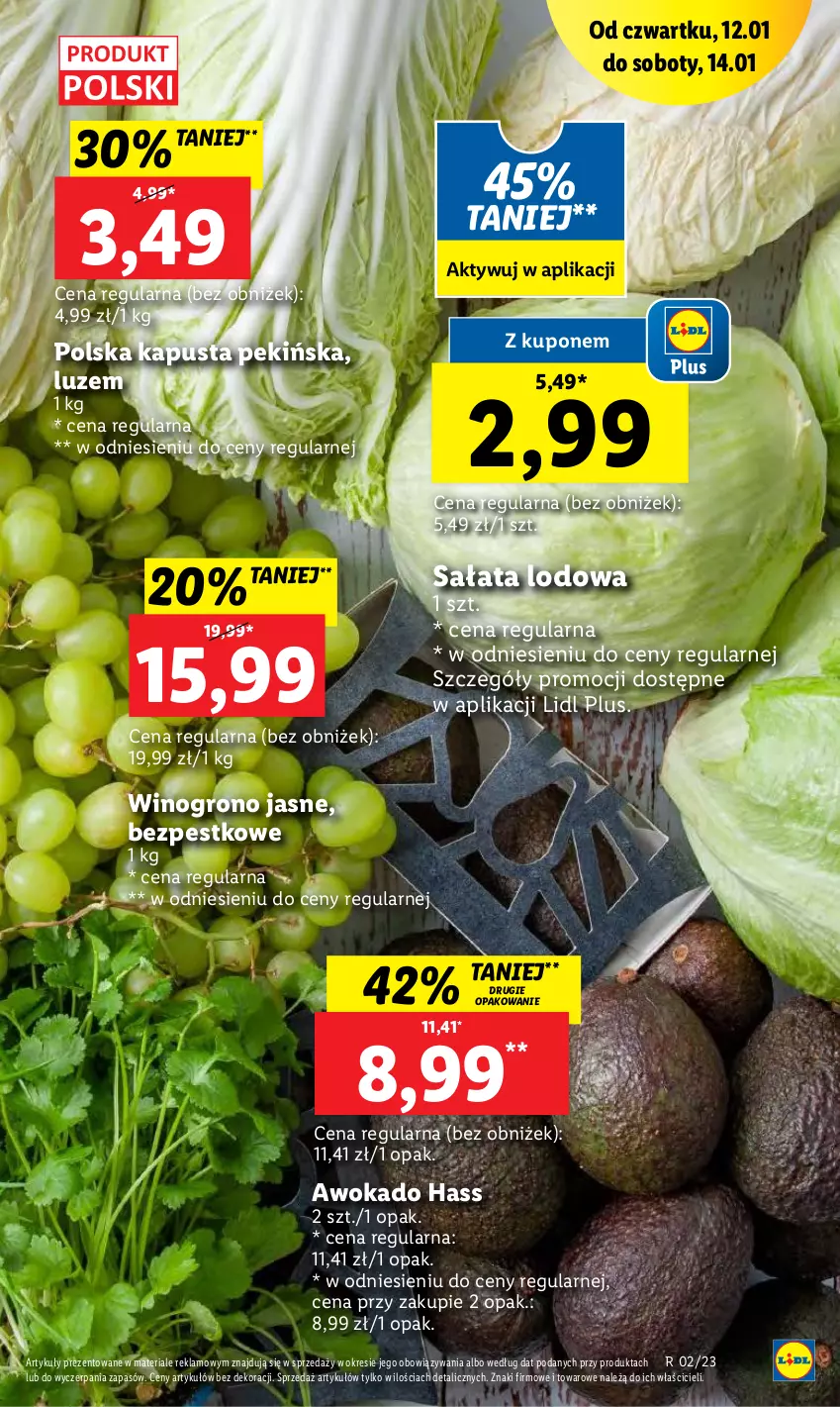 Gazetka promocyjna Lidl - GAZETKA - ważna 19.01 do 21.01.2023 - strona 19 - produkty: Sałat, Sałata lodowa, Wino