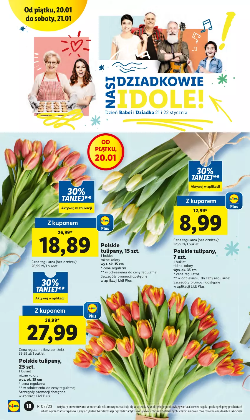 Gazetka promocyjna Lidl - GAZETKA - ważna 19.01 do 21.01.2023 - strona 22 - produkty: Bukiet, Tulipan