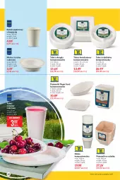 Gazetka promocyjna Makro - [Oferta specjalna] Letni relaks - Gazetka - ważna od 26.07 do 26.07.2021 - strona 10 - produkty: Papier, Pojemnik, Sałat, Kubek papierowy, Talerz, Kubek, Miska