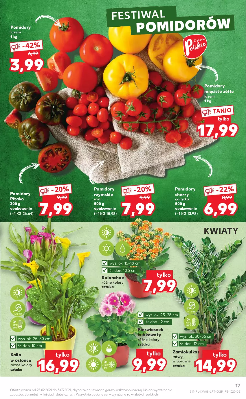 Gazetka promocyjna Kaufland - OFERTA TYGODNIA - ważna 25.02 do 03.03.2021 - strona 17 - produkty: Kalanchoe, Pomidory