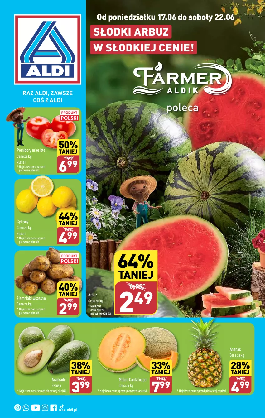 Gazetka promocyjna Aldi - Farmer ALDIK poleca świeże owoce i warzywa - ważna 17.06 do 22.06.2024 - strona 1 - produkty: Ananas, Arbuz, Cytryny, Melon, Pomidory, Ziemniaki