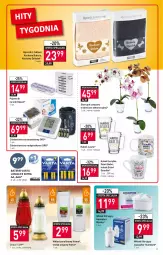 Gazetka promocyjna Stokrotka - Market - Gazetka - ważna od 19.01 do 19.01.2022 - strona 11 - produkty: Ciśnieniomierz, Koc, Pojemnik, Pojemnik na leki, Aquaphor, Laur, Storczyk, Ręcznik, Znicz, Wkład filtrujący, Kubek, Olej, Wkład olejowy