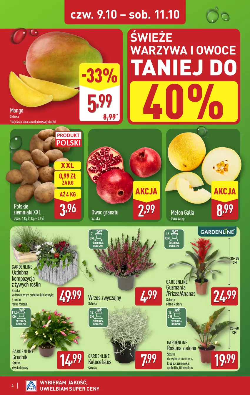 Gazetka promocyjna Aldi - Oferta specjalna - ważna 09.10 do 11.10.2025 - strona 4 - produkty: Ananas, Dron, Fa, Gra, Granat, Kosz, Mango, Melon, Owoce, Tera, Warzywa, Warzywa i owoce, Ziemniaki